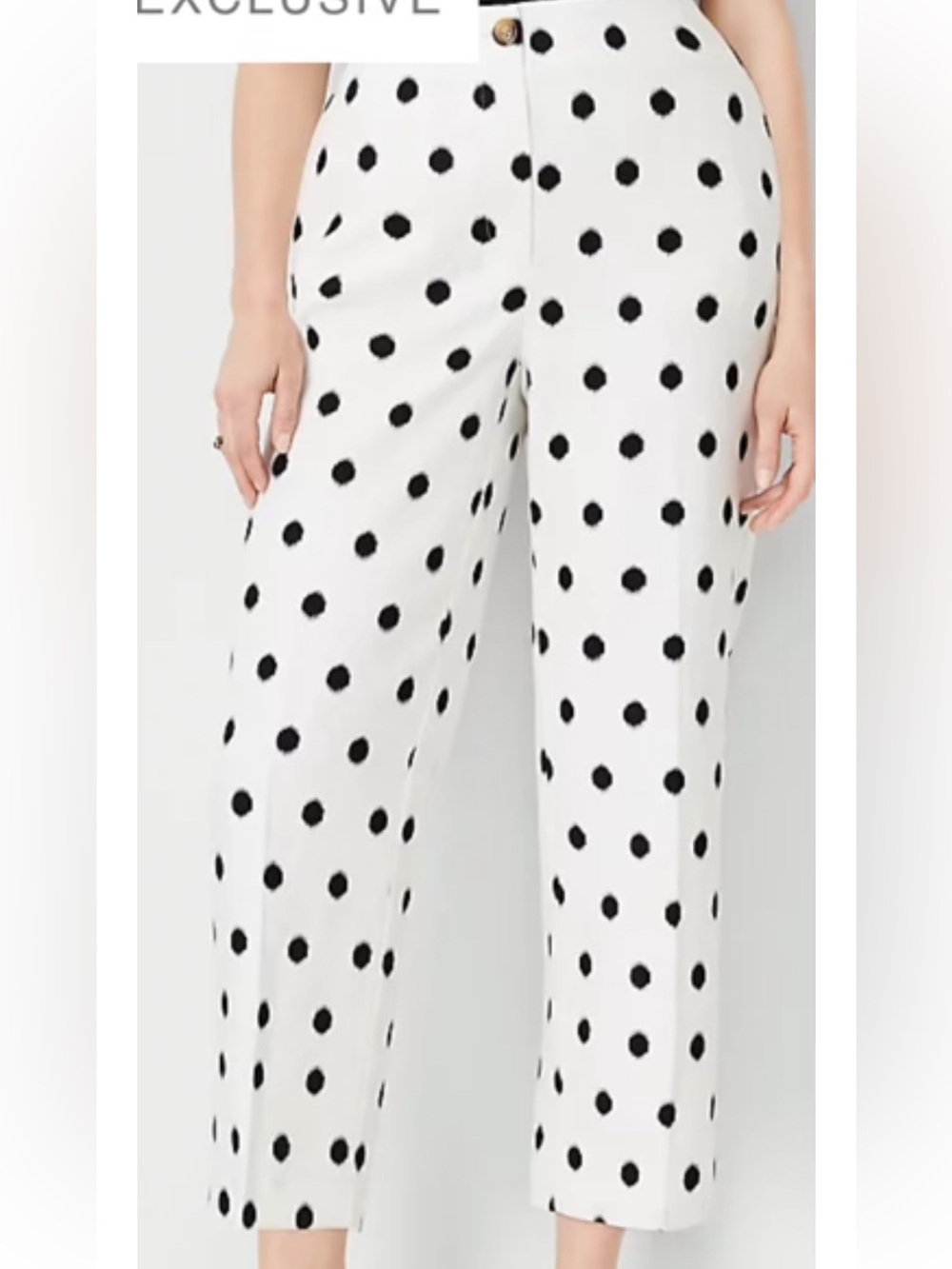 Ann Taylor Black Polka Dot Wide-Leg Trousers on White